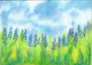Lupin Meadow - Oil Pastel - 9 X 12 - $125