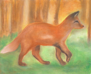 A Fox in the Woods - Oil Pastel 11 X 14 - $200