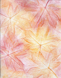 Autumn Maple Leaves Too - Crayon - 8 x 11 - $80