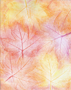 Autumn Maple Leaves - Crayon - 8 x 11 - $80